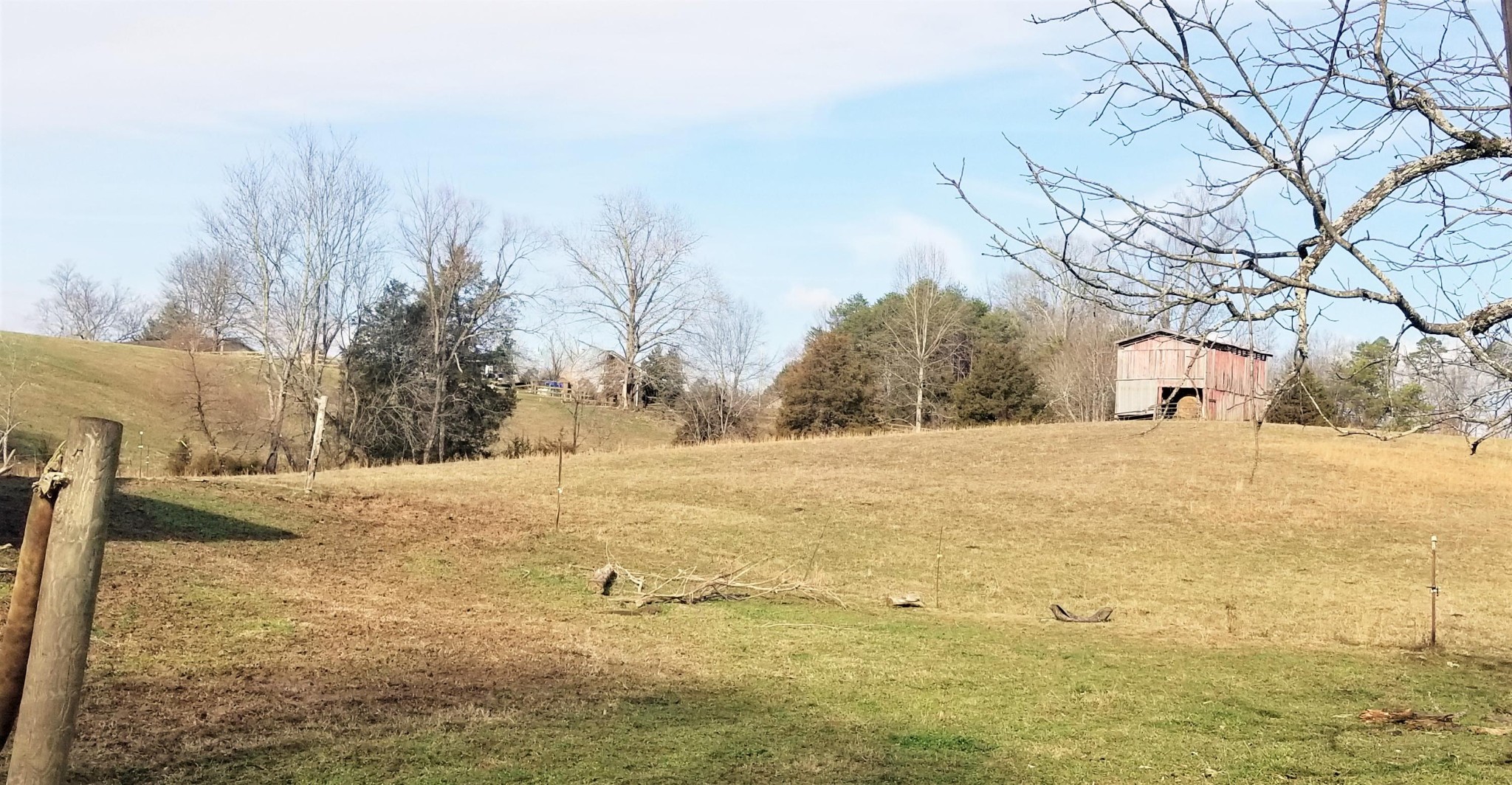 8321 Bud Hawkins Road Corryton, TN 37721 - Photo 7 of 8