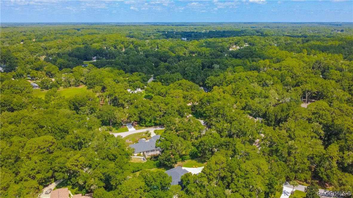 18976 Southwest 93rd Loop Dunnellon, FL 34432 - Photo 65 of 82