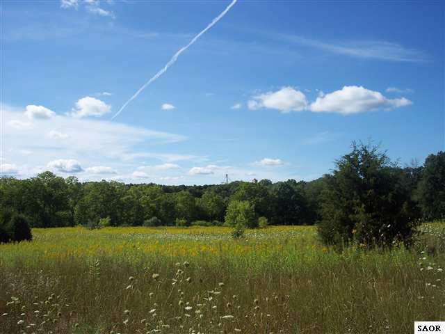 Vl North River Road Owosso, MI 48867 - Photo 1 of 4 48058.JPG