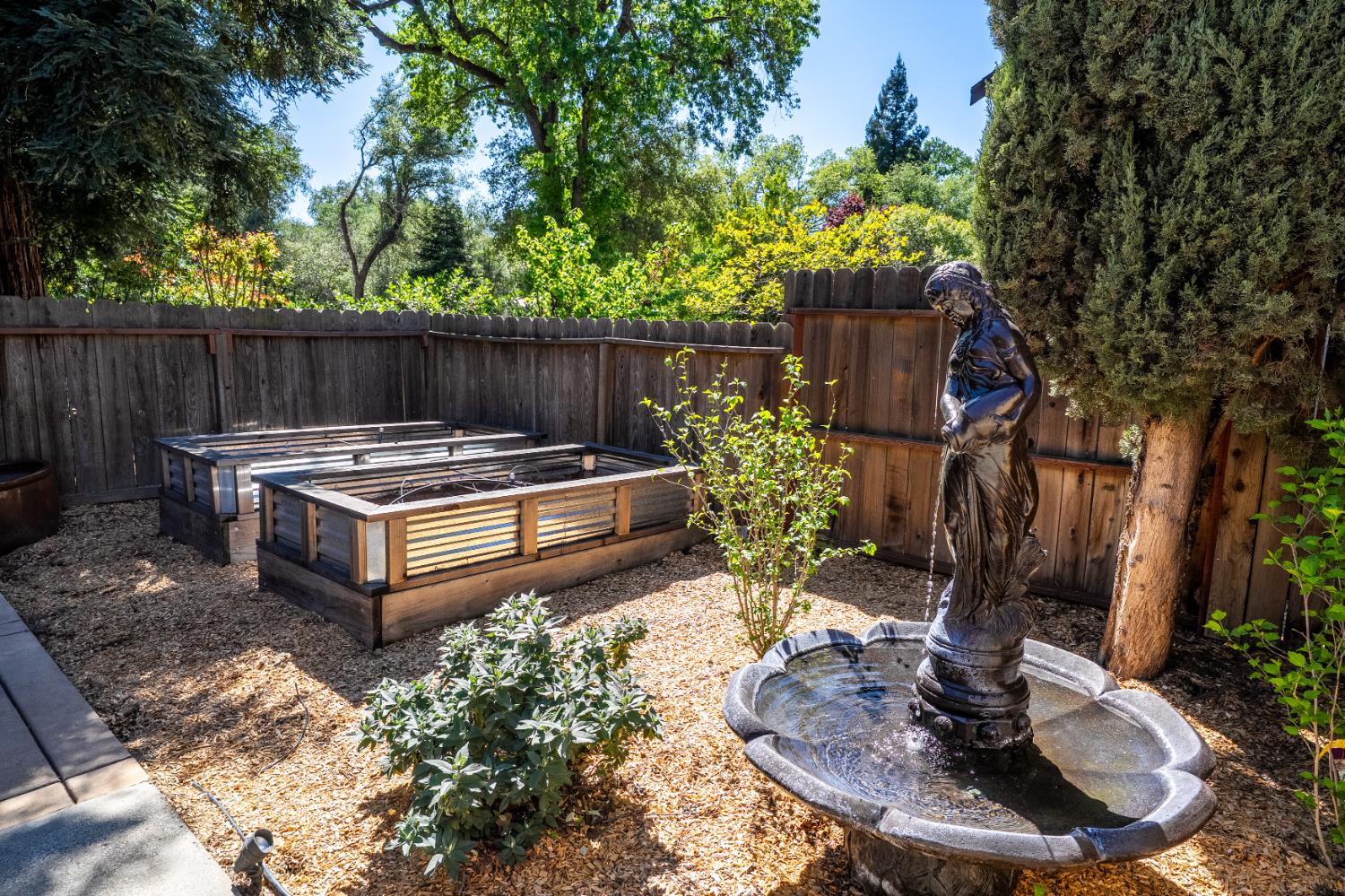 8300 Auburn Folsom Road Granite Bay, CA 95746 - Photo 44 of 45 a view of a backyard with chairs potted plants and tree