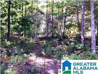 Lakeridge Drive, Unit 4 Ashville, AL 35953 - Photo 12 of 19