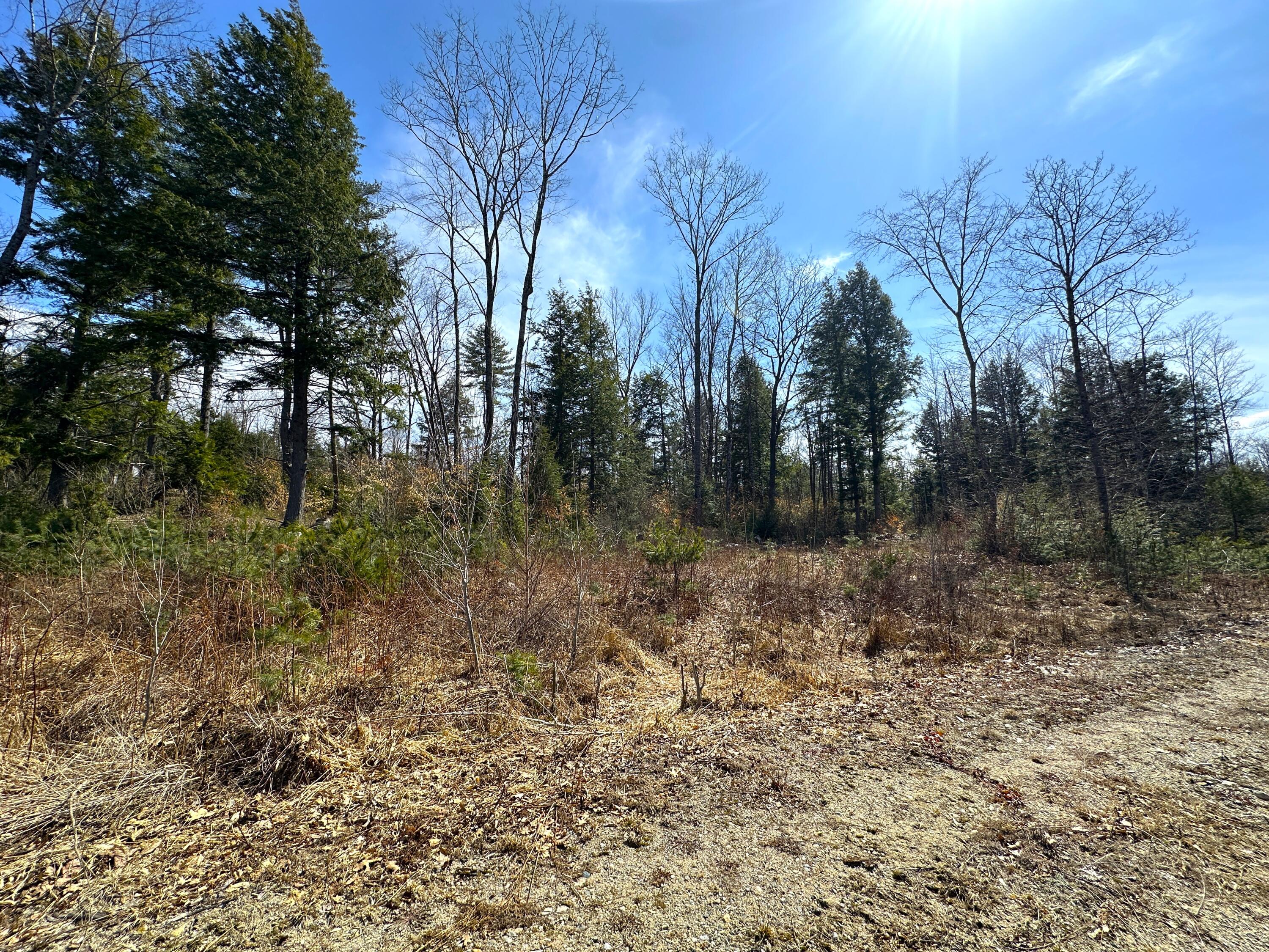 0 North Road, Unit LOT #1 Parsonsfield, ME 04047 - Photo 25 of 42 IMG_4903