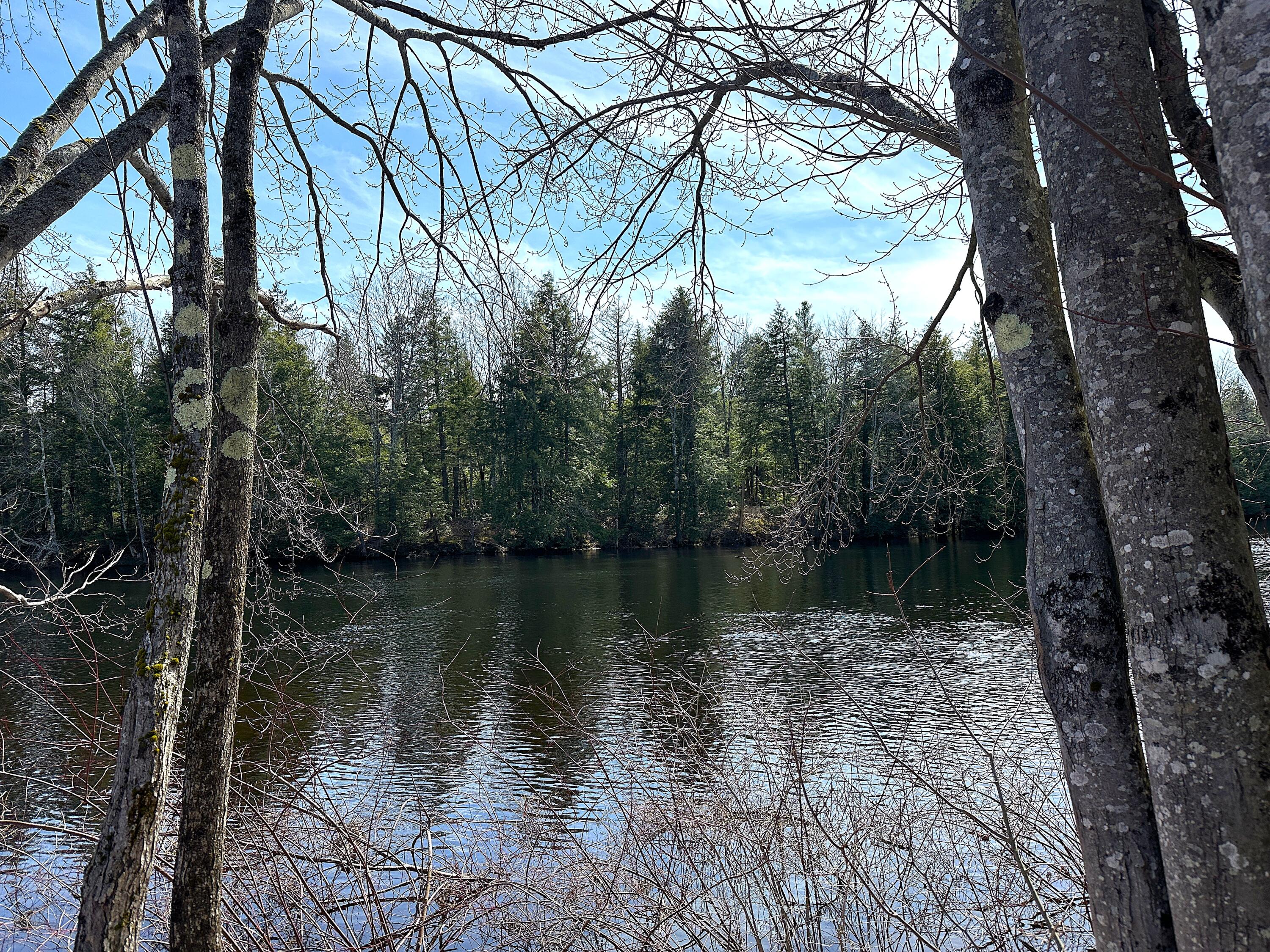 0 North Road, Unit LOT #1 Parsonsfield, ME 04047 - Photo 38 of 42 IMG_4918