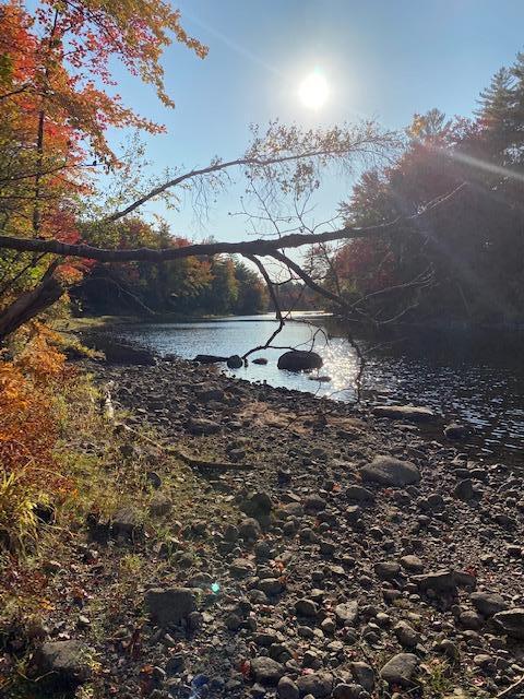 0 North Road, Unit LOT #1 Parsonsfield, ME 04047 - Photo 8 of 42 9