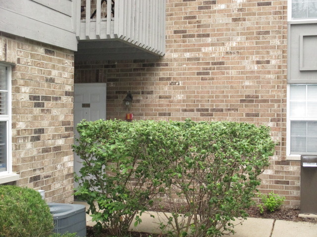 35 Foxcroft Road, Unit 115 Naperville, IL 60565 - Photo 2 of 21