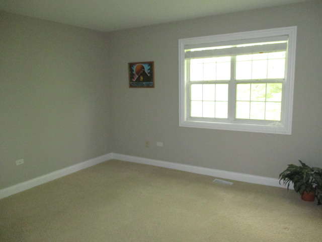 35 Foxcroft Road, Unit 115 Naperville, IL 60565 - Photo 15 of 21