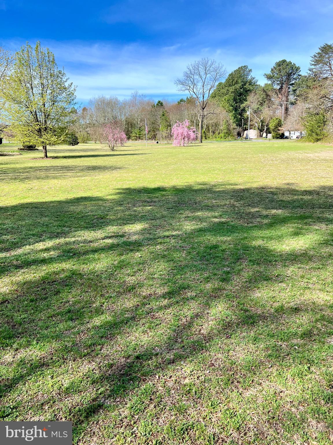 0 Clendaniel Pond Rd  