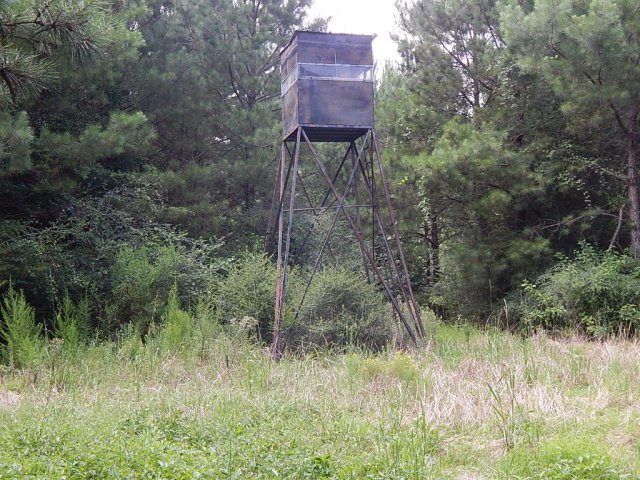 0 Beaver Dam Road Tylertown, MS 39667 - Photo 1 of 1 Main View