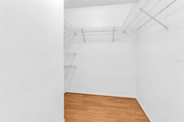 a view of a park with large trees