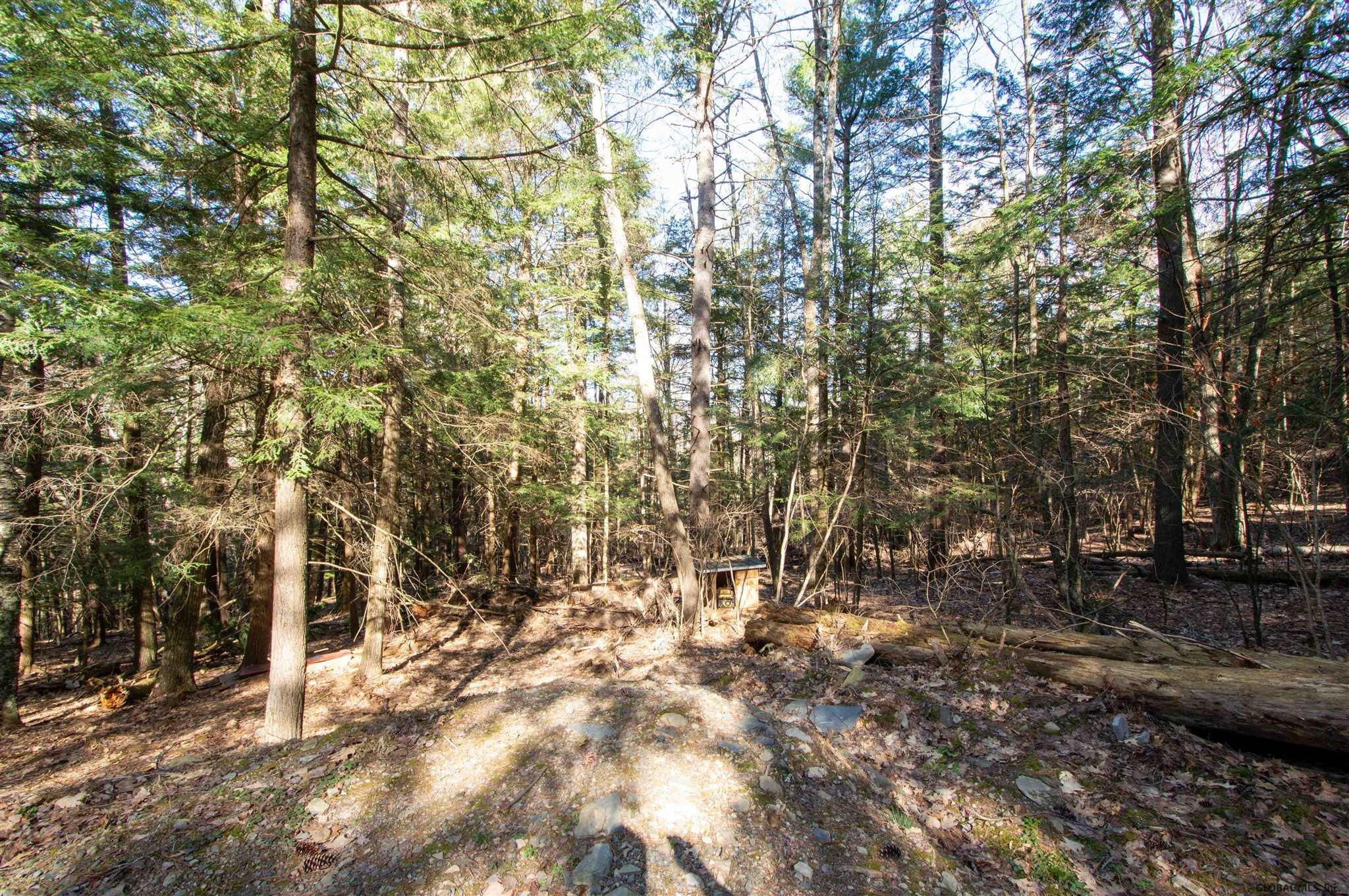 West Kill Road North Blenheim, NY 12131 - Photo 16 of 34 Photo 17