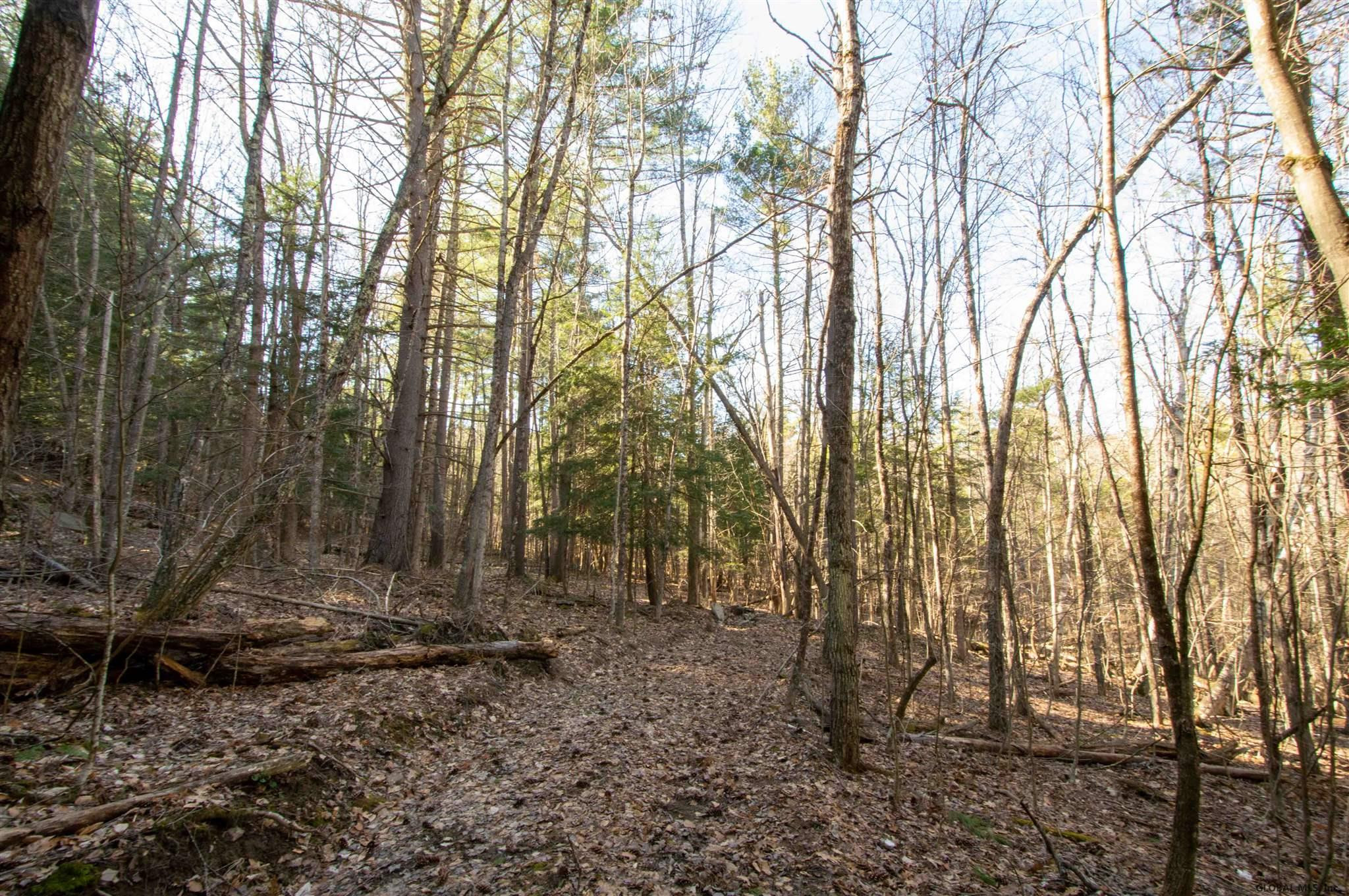 West Kill Road North Blenheim, NY 12131 - Photo 20 of 34 Photo 22
