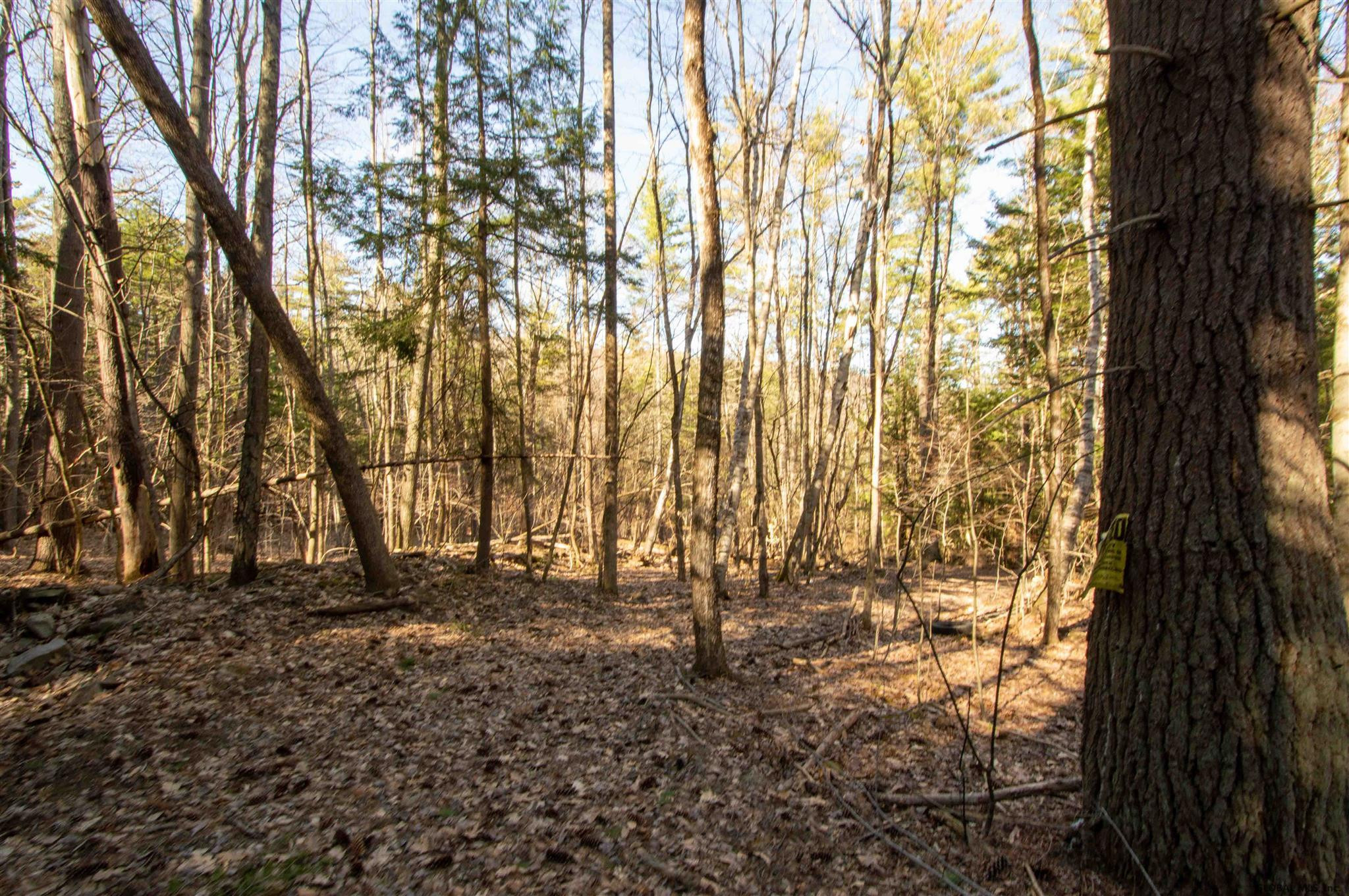 West Kill Road North Blenheim, NY 12131 - Photo 21 of 34 Photo 23