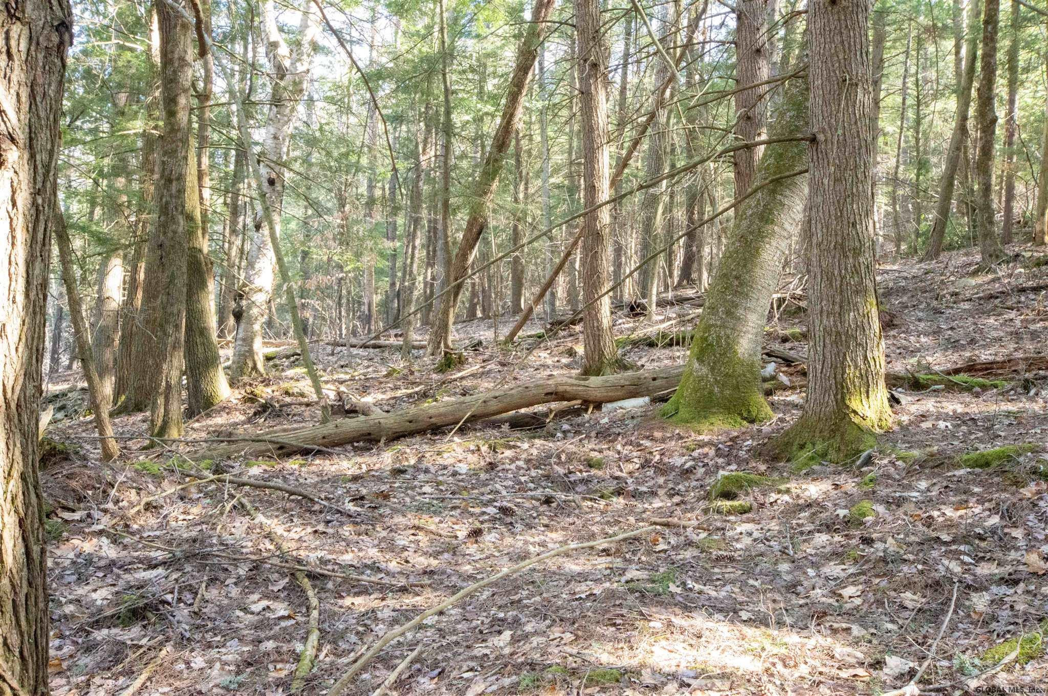 West Kill Road North Blenheim, NY 12131 - Photo 26 of 34 Photo 28