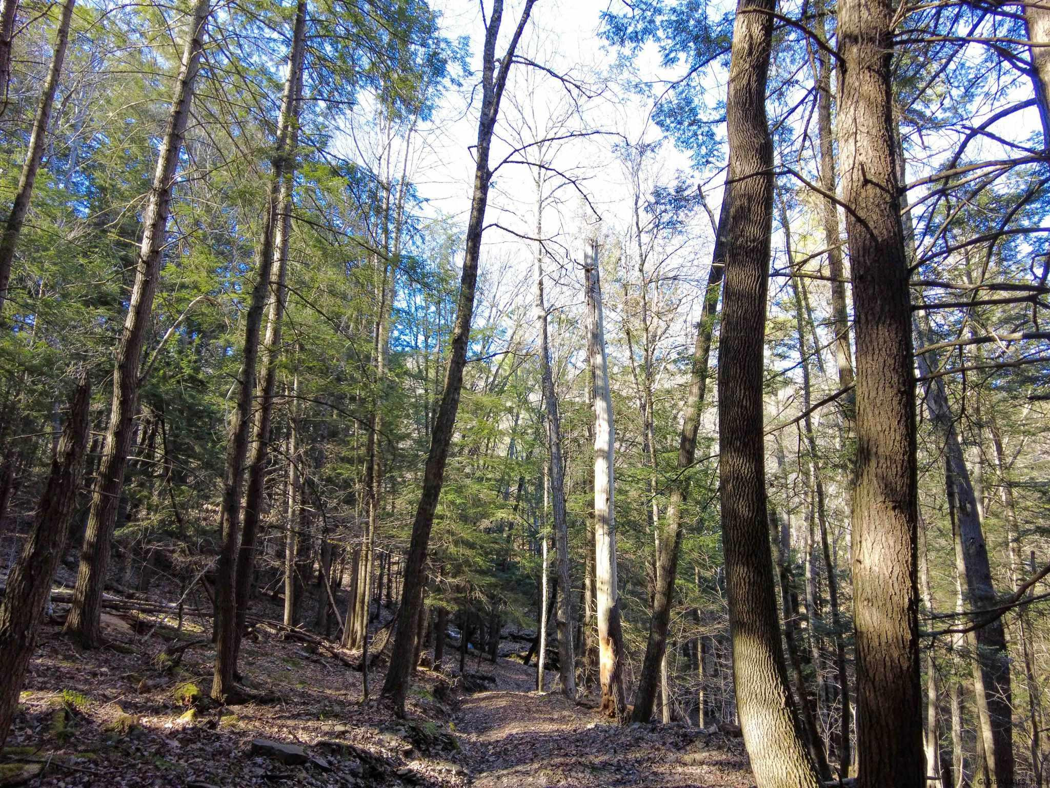 West Kill Road North Blenheim, NY 12131 - Photo 29 of 34 Photo 31
