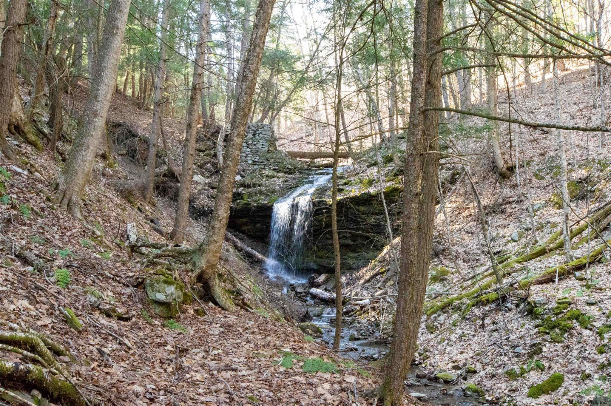West Kill Road North Blenheim, NY 12131 - Photo 3 of 34 Photo 3