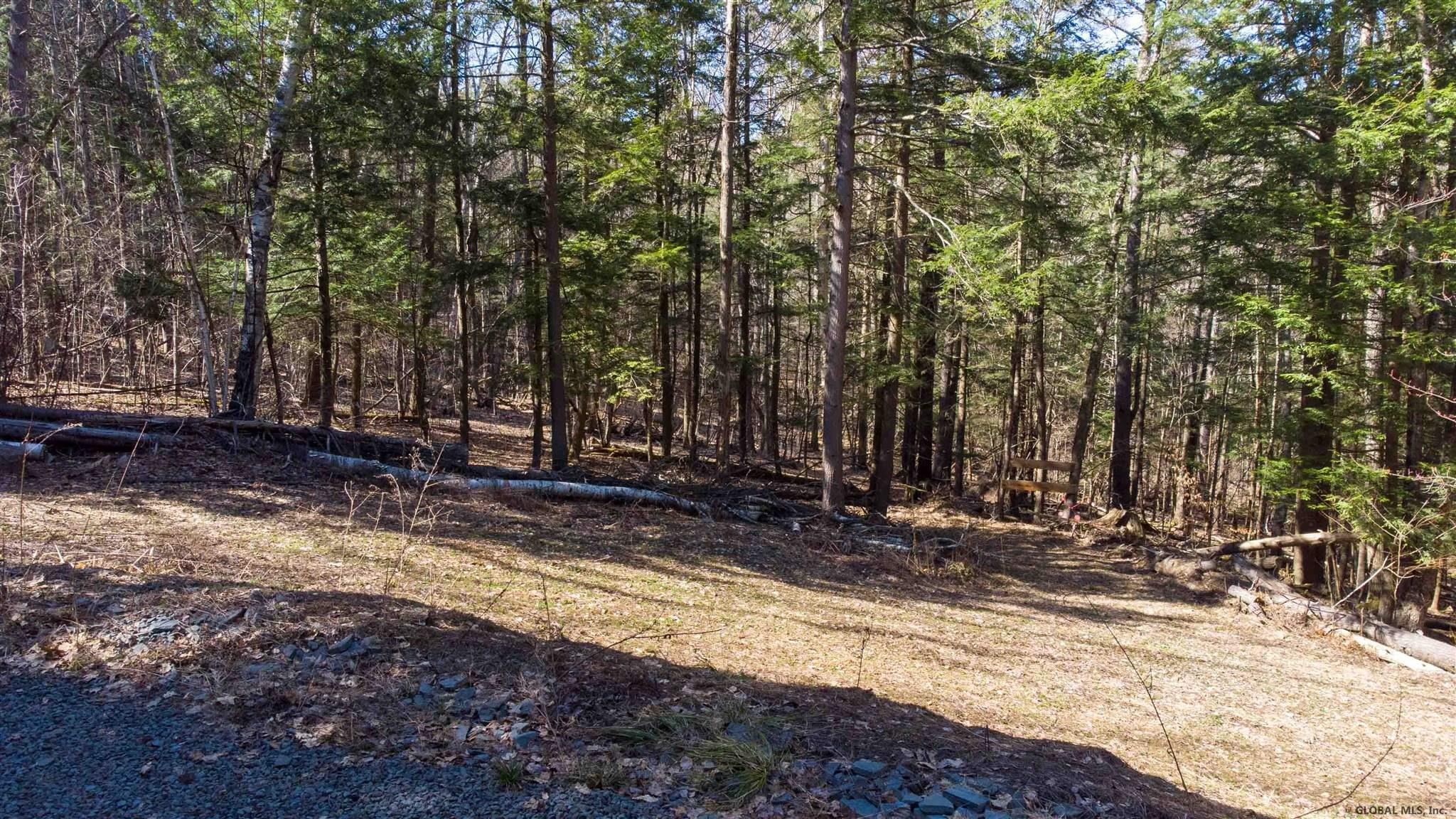 West Kill Road North Blenheim, NY 12131 - Photo 6 of 34 Photo 7