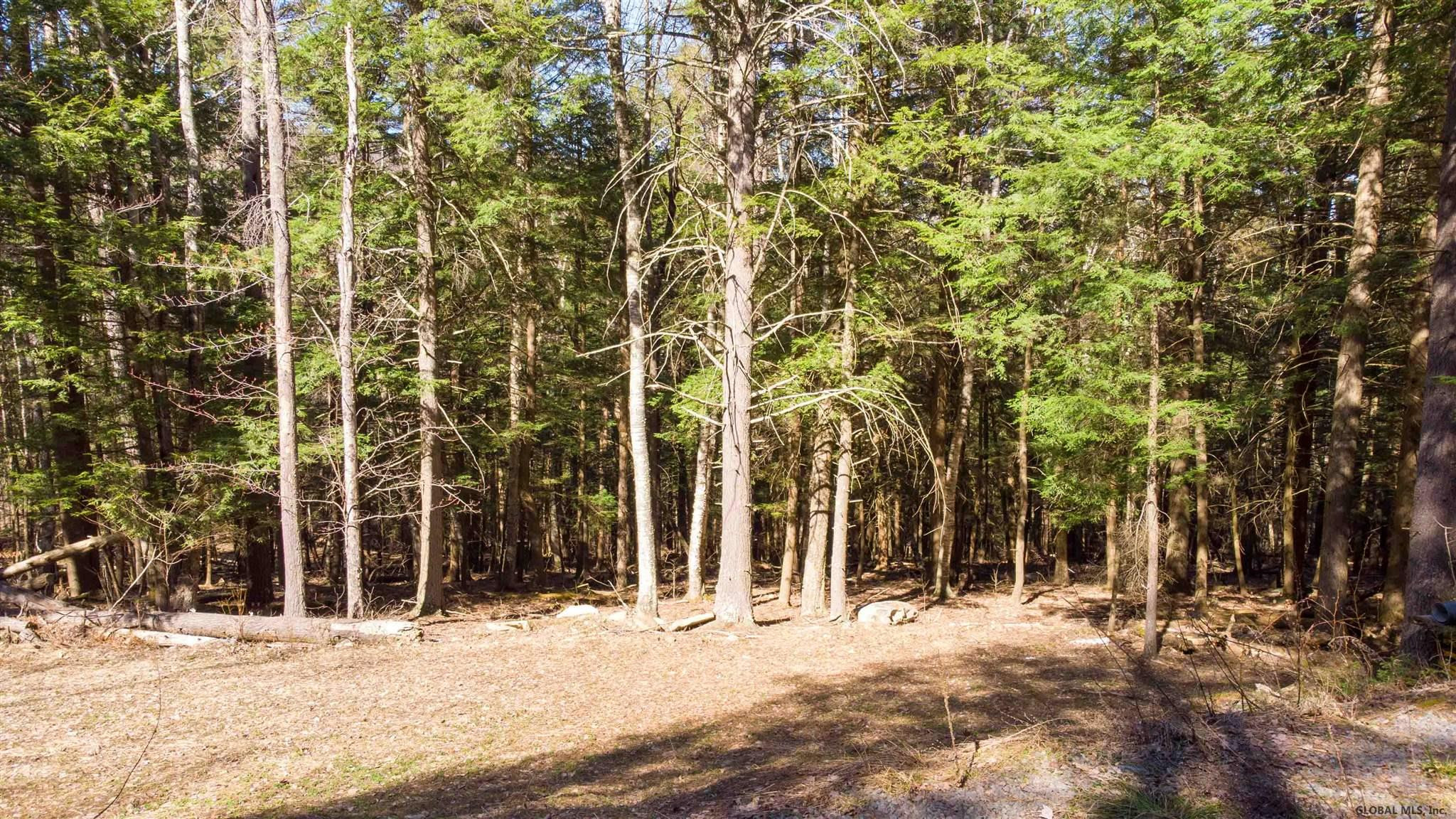 West Kill Road North Blenheim, NY 12131 - Photo 8 of 34 Photo 9