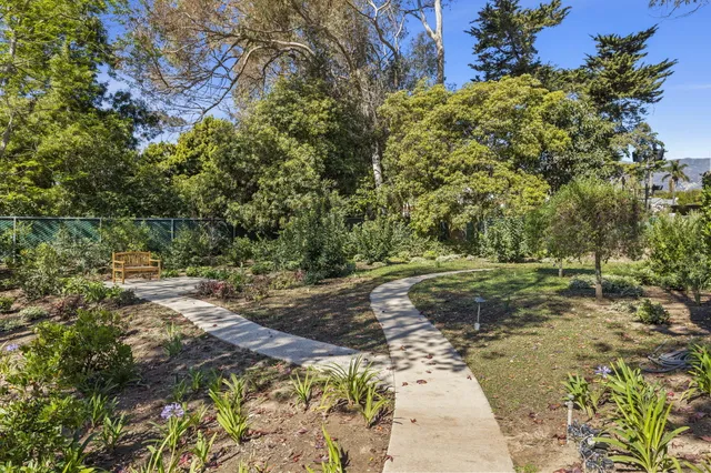 a view of a tree with a yard