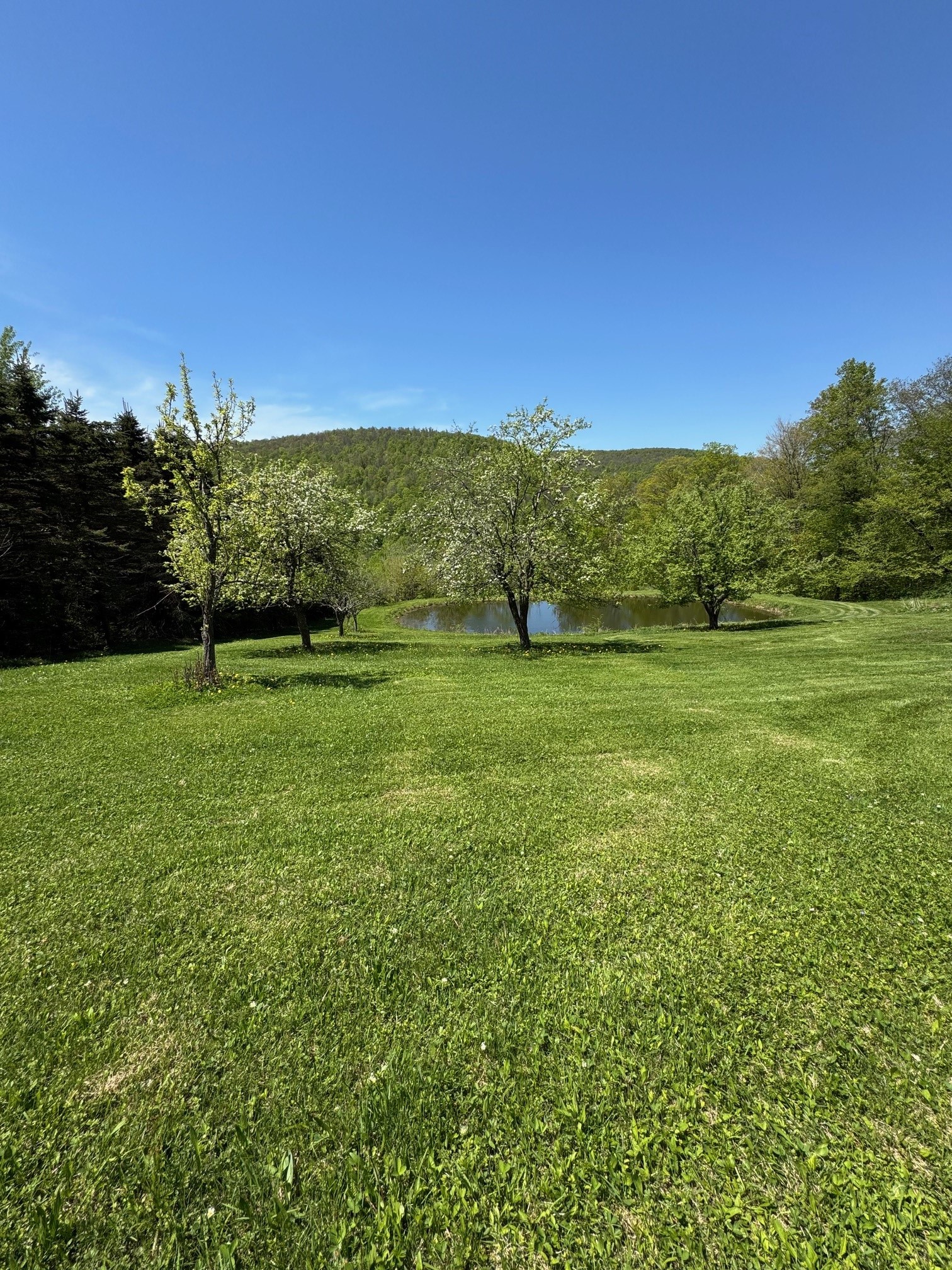 1624 Carcass Brook Road Walton, NY 13856 - Photo 3 of 50
