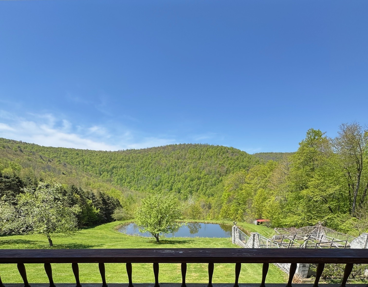 1624 Carcass Brook Road Walton, NY 13856 - Photo 42 of 50