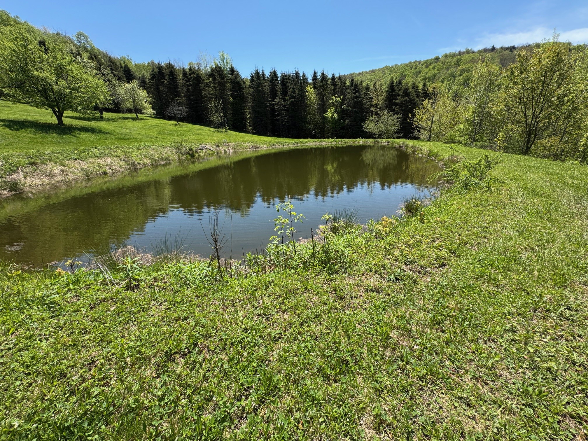 1624 Carcass Brook Road Walton, NY 13856 - Photo 46 of 50