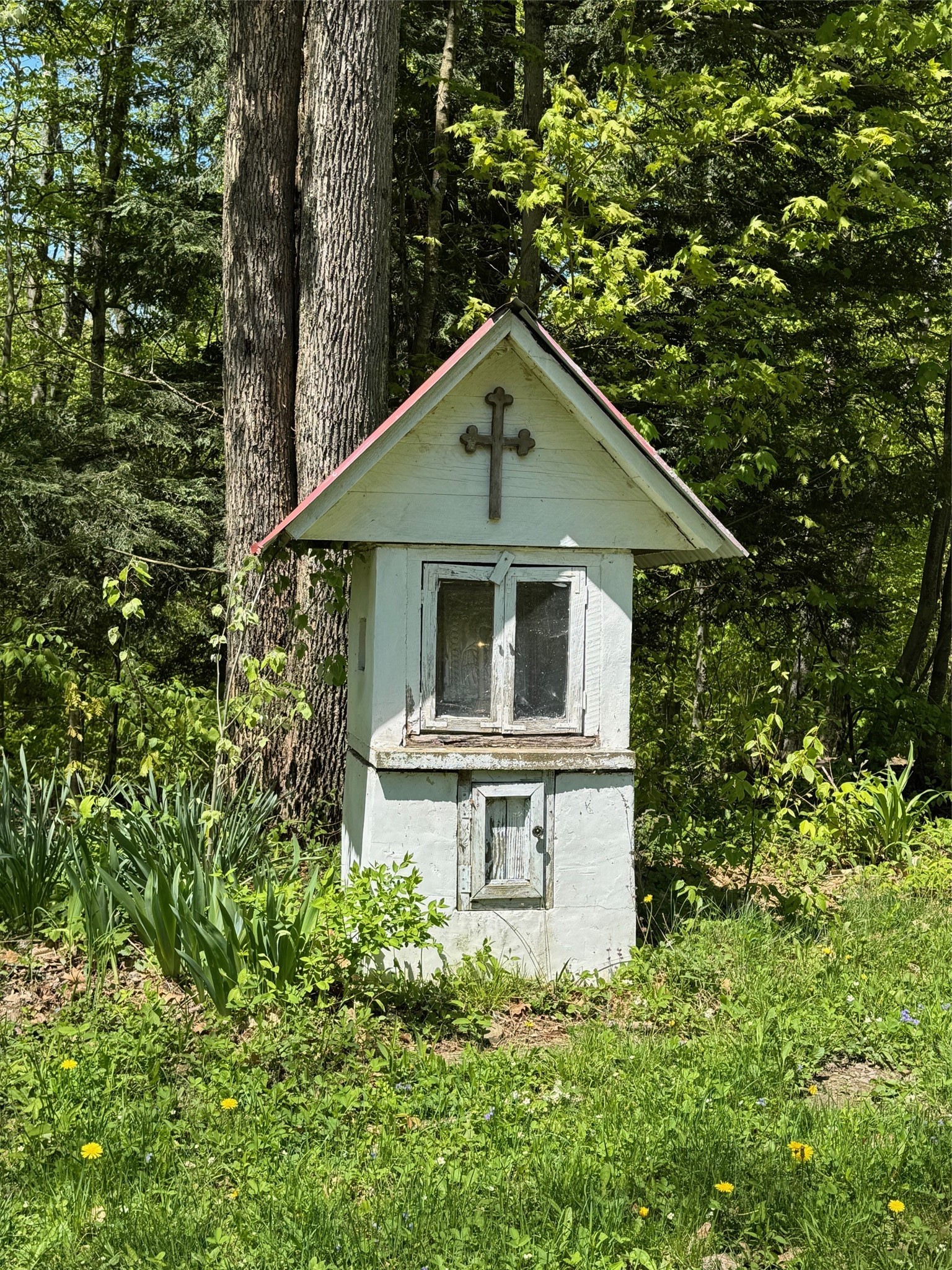 1624 Carcass Brook Road Walton, NY 13856 - Photo 49 of 50