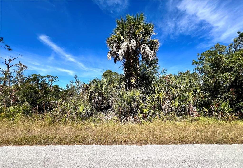 8 Detroit Avenue Hudson, FL 34667 - Photo 2 of 4 a view of a yard