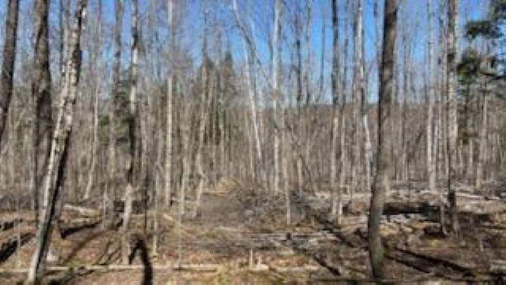 1376 Kingdom Road Ludlow, VT 05149 - Photo 10 of 23