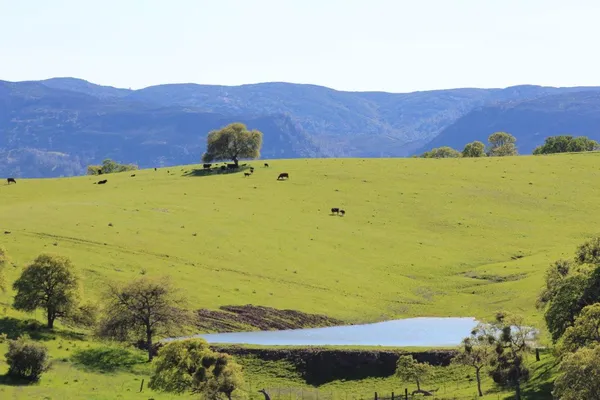 $14,449,000 | 20475 County Road 57, Capay, CA 95607