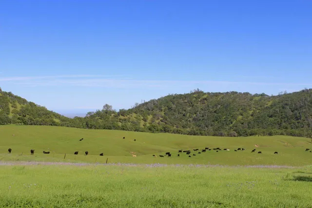 $14,449,000 | 20475 County Road 57, Capay, CA 95607