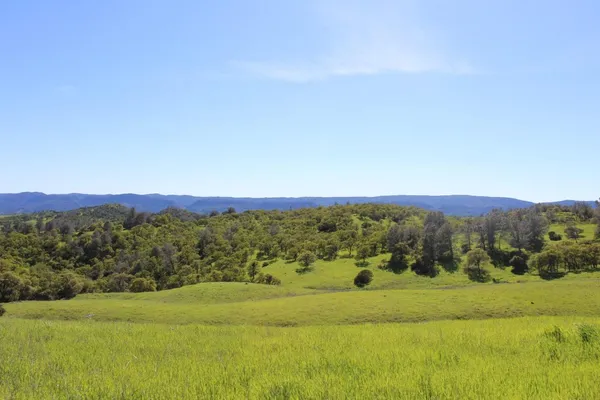 $14,449,000 | 20475 County Road 57, Capay, CA 95607