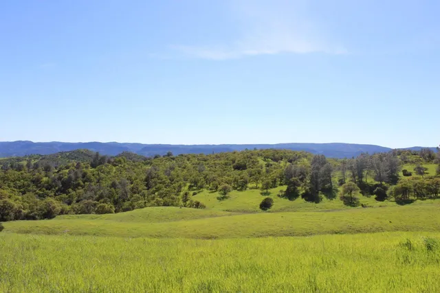 $14,449,000 | 20475 County Road 57, Capay, CA 95607