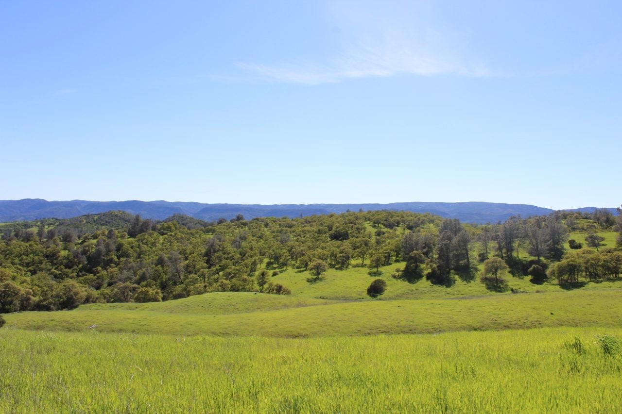 20475 County Road 57 Capay, CA 95607 - Photo 9 of 30