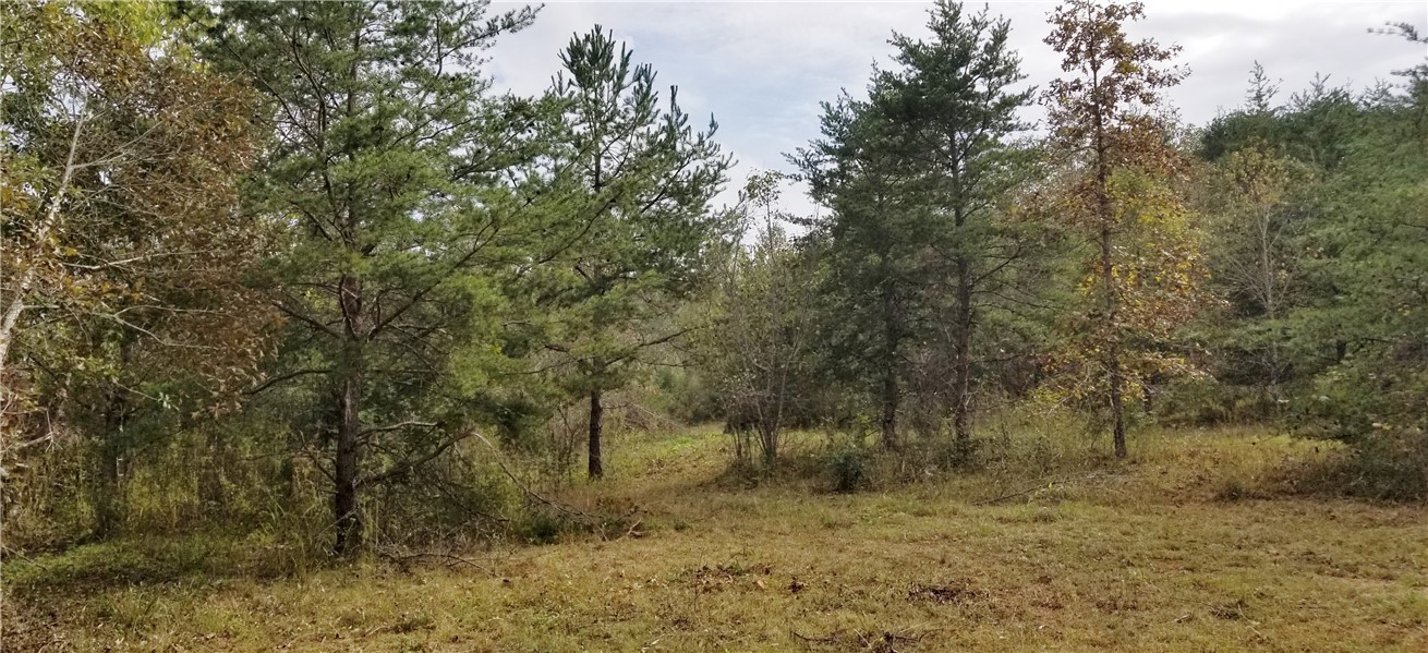 15.72-acres Cleveland Pike Road, Unit WESTMINSTER Westminster, SC 29693 - Photo 11 of 24 Gallery Image 11