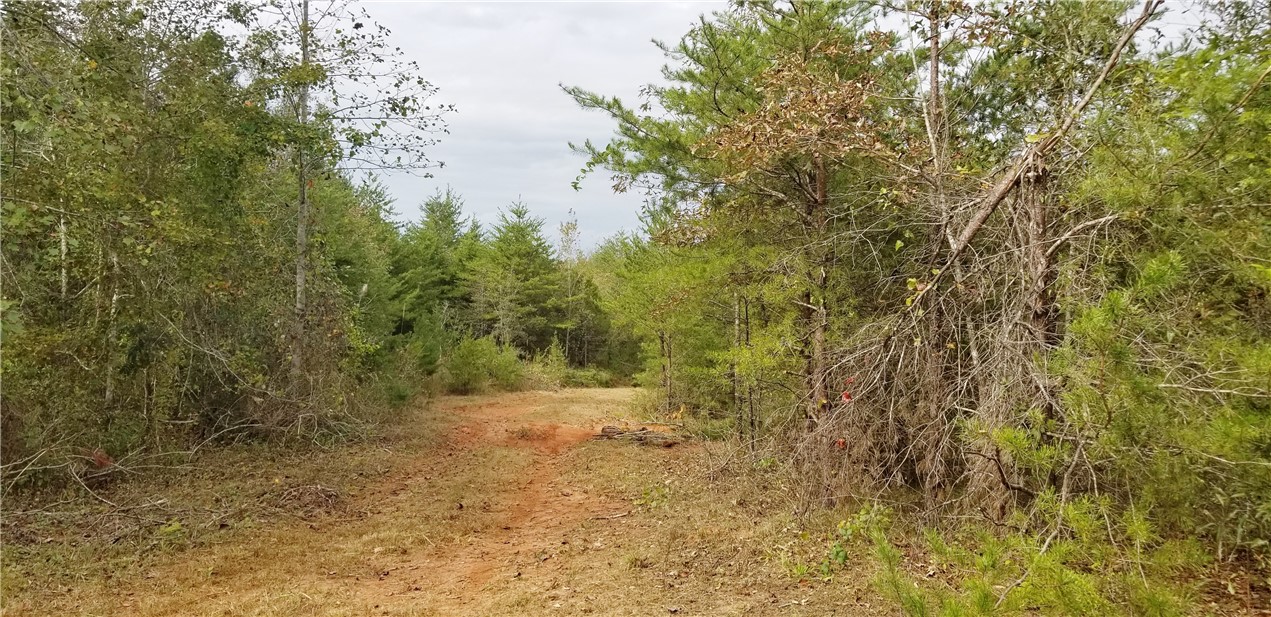 15.72-acres Cleveland Pike Road, Unit WESTMINSTER Westminster, SC 29693 - Photo 12 of 24 Gallery Image 12