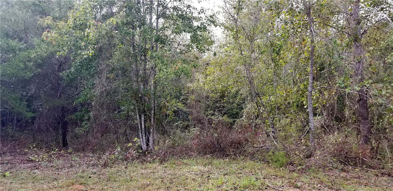15.72-acres Cleveland Pike Road, Unit WESTMINSTER Westminster, SC 29693 - Photo 13 of 24 Gallery Image 13