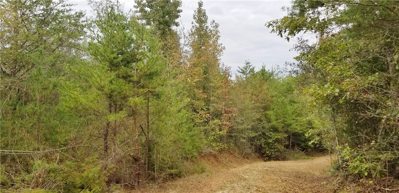 15.72-acres Cleveland Pike Road, Unit WESTMINSTER Westminster, SC 29693 - Photo 15 of 24 Gallery Image 15