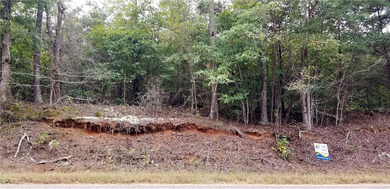 15.72-acres Cleveland Pike Road, Unit WESTMINSTER Westminster, SC 29693 - Photo 16 of 24 Gallery Image 16