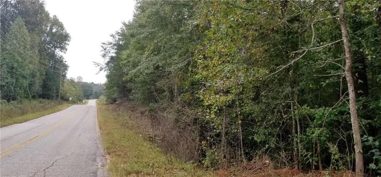 15.72-acres Cleveland Pike Road, Unit WESTMINSTER Westminster, SC 29693 - Photo 3 of 24 Gallery Image 3