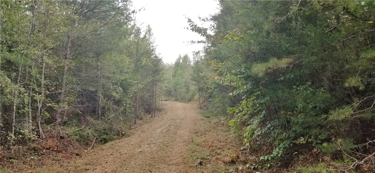 15.72-acres Cleveland Pike Road, Unit WESTMINSTER Westminster, SC 29693 - Photo 6 of 24 Gallery Image 6