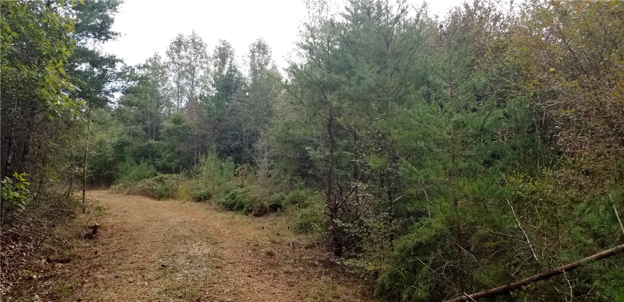 15.72-acres Cleveland Pike Road, Unit WESTMINSTER Westminster, SC 29693 - Photo 7 of 24 Gallery Image 7