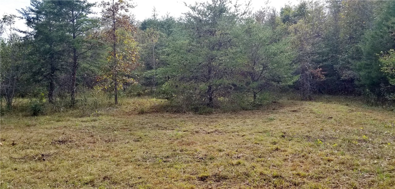 15.72-acres Cleveland Pike Road, Unit WESTMINSTER Westminster, SC 29693 - Photo 10 of 24 Gallery Image 10