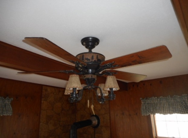9774 Riverside Drive St. Louis, MI 48880 - Photo 6 of 42 1834074-5.JPG
