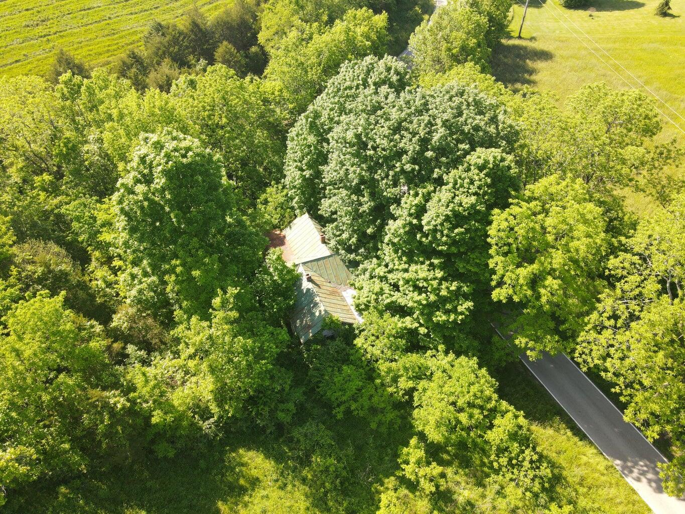 147.5 Avenstoke Road Lawrenceburg, KY 40342 - Photo 8 of 26 20240521175536491975000000-o