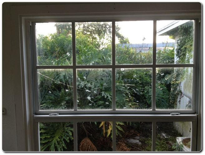 328 Shady Lane Road Palm Springs, FL 33461 - Photo 41 of 50 a view of a outdoor from a window