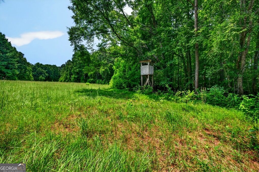1744 Alexander Road Monticello, GA 31064 - Photo 64 of 83 Gallery Image 64