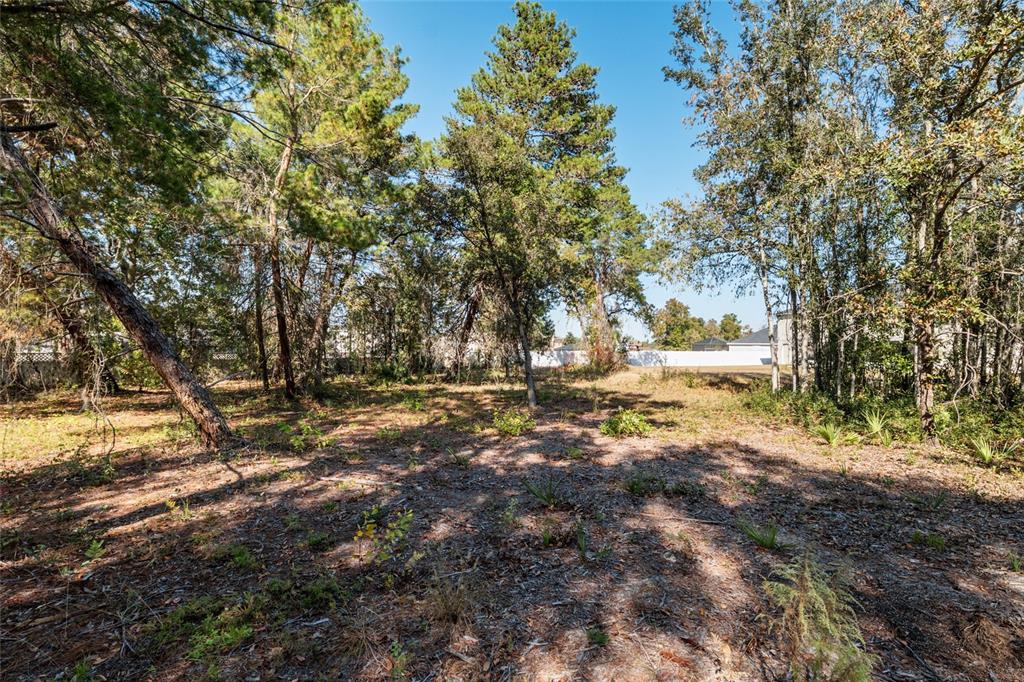 11684 Southwest 56th Terrace Ocala, FL 34476 - Photo 74 of 74 Gallery Image 74