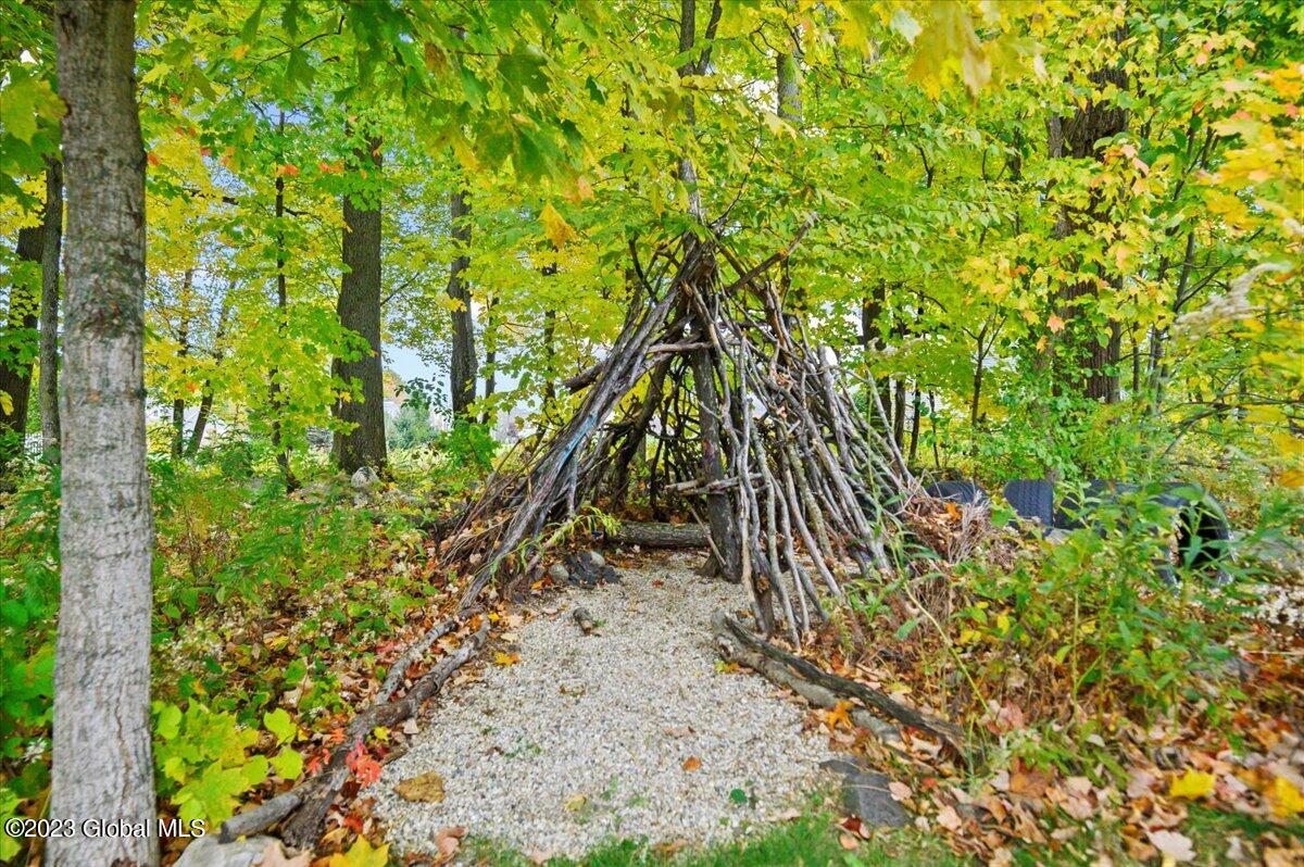 22 Saddlebrook Boulevard Ballston, NY 12019 - Photo 43 of 48 17-FJD_7060