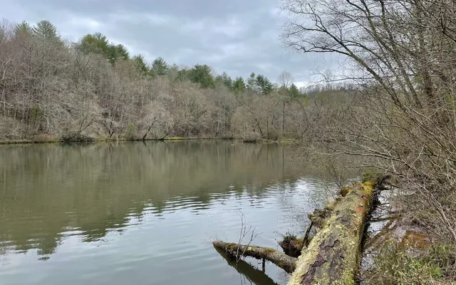 a view of a lake with houses