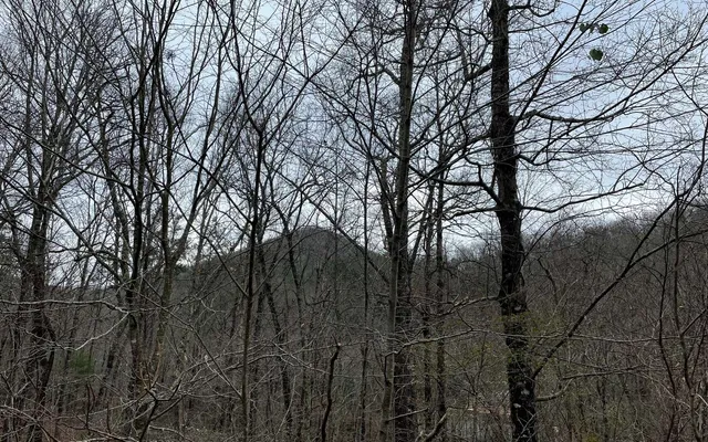 a backyard of a house with seating space
